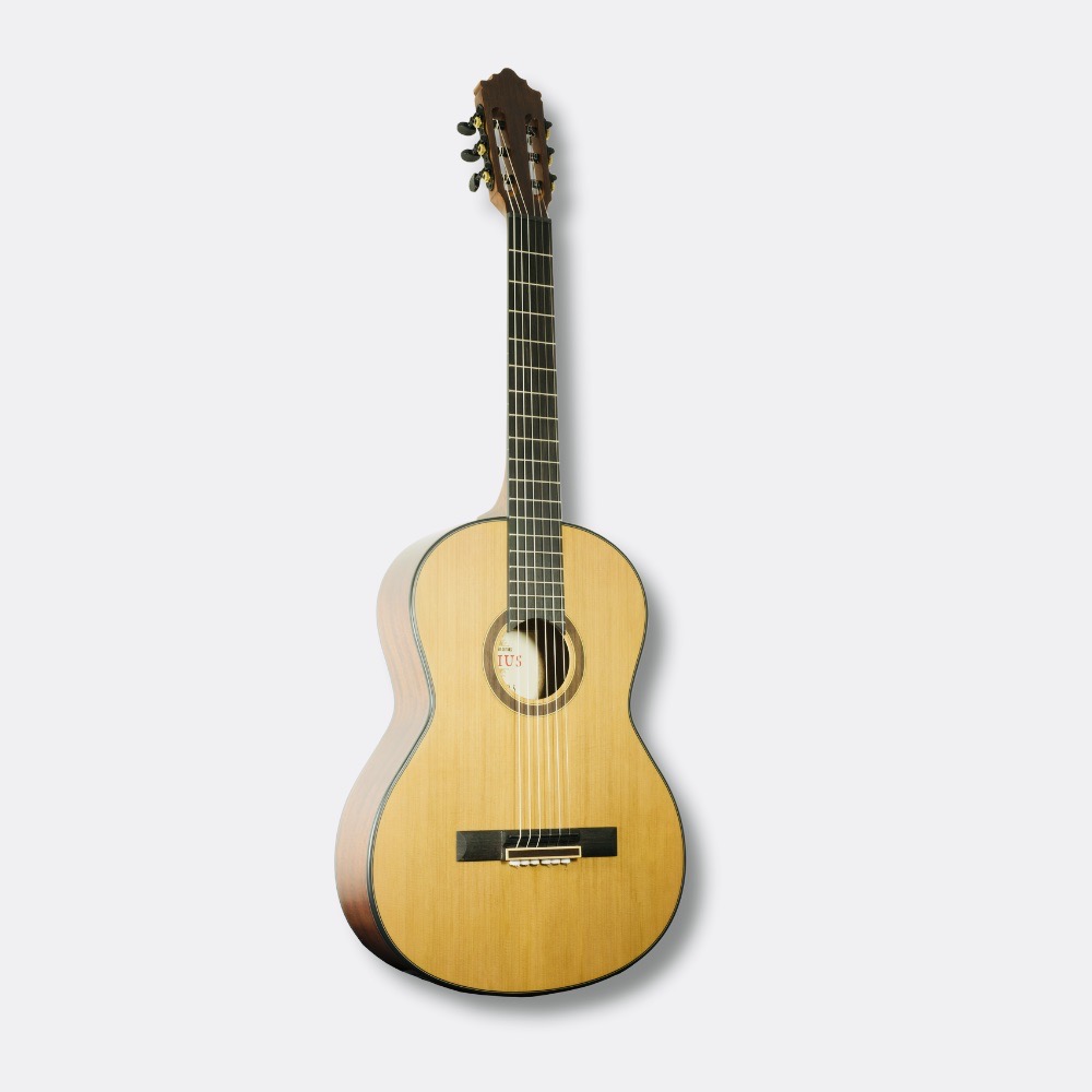 Arrius 100 S Arrius MPR-100 S
