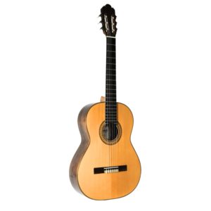 211 Rachonsky guitar